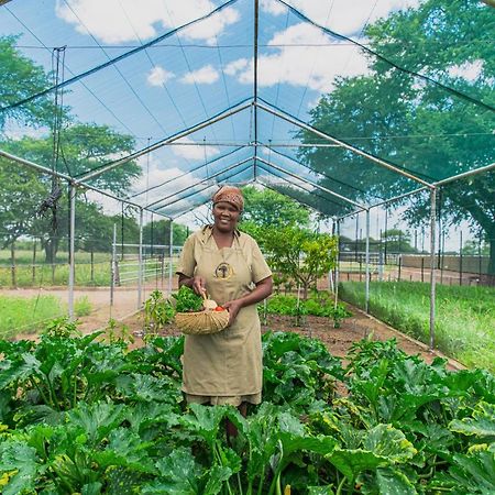 Farmstay Okakeua Okahandja Eksteriør bilde