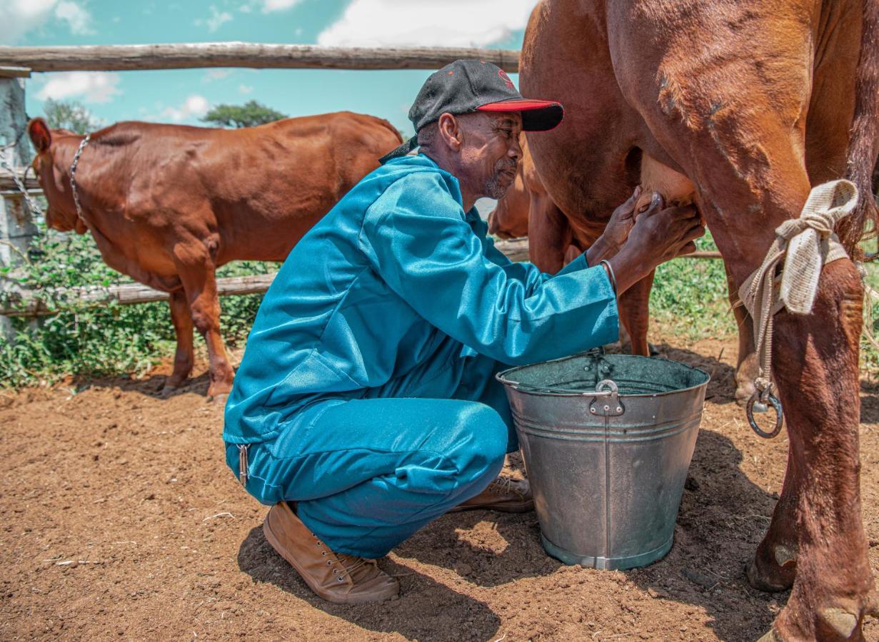 Farmstay Okakeua Okahandja Eksteriør bilde