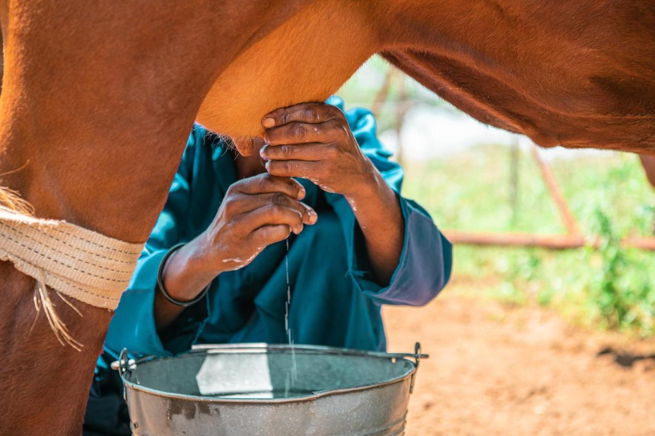 Farmstay Okakeua Okahandja Eksteriør bilde