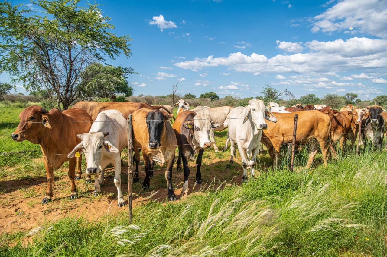Farmstay Okakeua Okahandja Eksteriør bilde