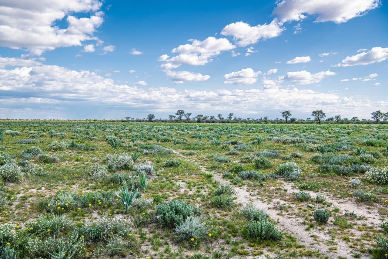 Farmstay Okakeua Okahandja Eksteriør bilde